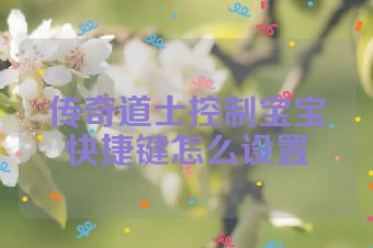 传奇道士控制宝宝快捷键怎么设置