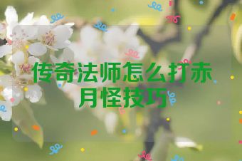 传奇法师怎么打赤月怪技巧