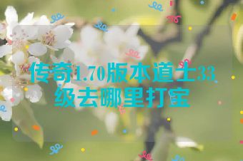 传奇1.70版本道士33级去哪里打宝