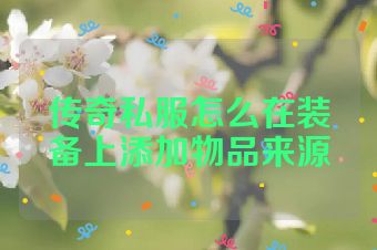 传奇私服怎么在装备上添加物品来源