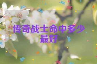 传奇战士命中多少最好