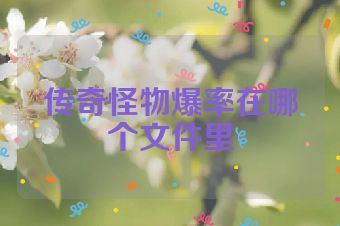 传奇怪物爆率在哪个文件里