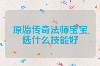 原始传奇法师宝宝选什么技能好