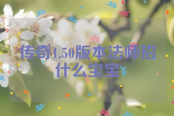 传奇1.50版本法师招什么宝宝