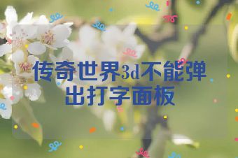 传奇世界3d不能弹出打字面板