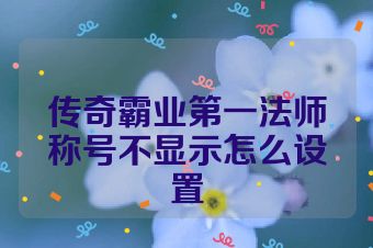 传奇霸业第一法师称号不显示怎么设置