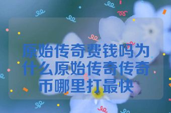 原始传奇费钱吗为什么原始传奇传奇币哪里打最快