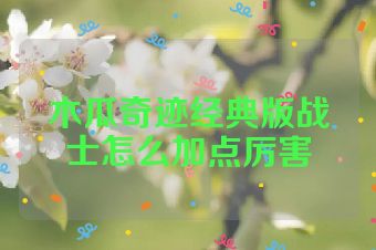 木瓜奇迹经典版战士怎么加点厉害