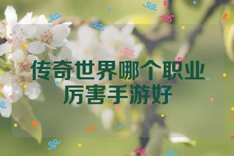 传奇世界哪个职业厉害手游好
