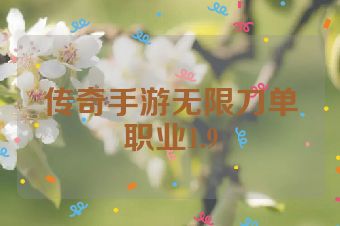 传奇手游无限刀单职业1.9