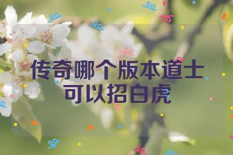 传奇哪个版本道士可以招白虎