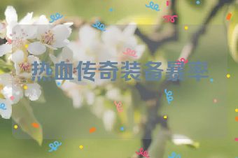 热血传奇装备暴率