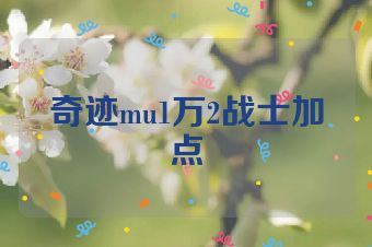 奇迹mu1万2战士加点