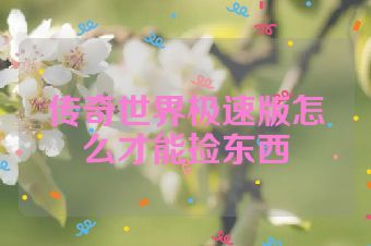 传奇世界极速版怎么才能捡东西