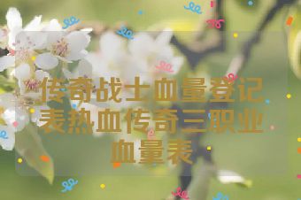 传奇战士血量登记表热血传奇三职业血量表