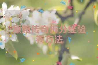 原始传奇拆分经验卷方法