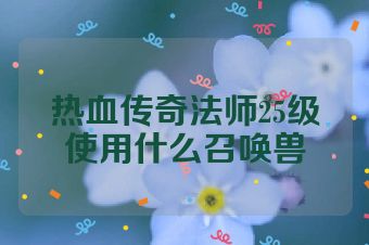 热血传奇法师25级使用什么召唤兽