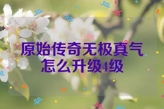 原始传奇无极真气怎么升级4级
