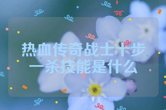 热血传奇战士十步一杀技能是什么