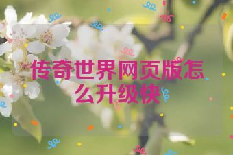 传奇世界网页版怎么升级快