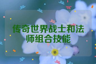 传奇世界战士和法师组合技能