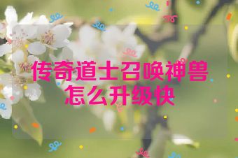传奇道士召唤神兽怎么升级快