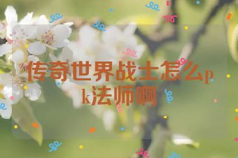 传奇世界战士怎么pk法师啊