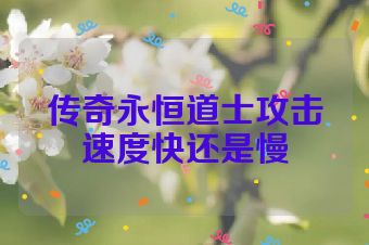 传奇永恒道士攻击速度快还是慢
