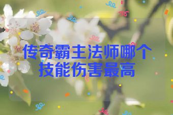 传奇霸主法师哪个技能伤害最高