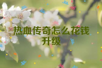 热血传奇怎么花钱升级