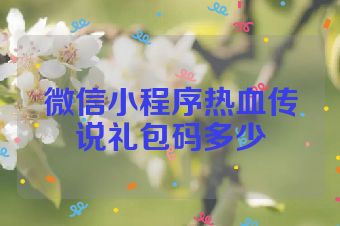 微信小程序热血传说礼包码多少