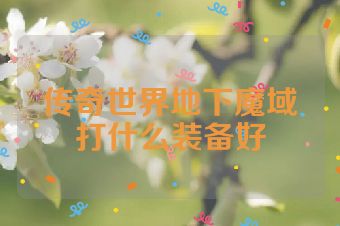传奇世界地下魔域打什么装备好