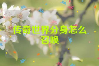 传奇世界分身怎么召唤