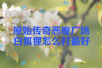 原始传奇恶魔广场白狐狸怎么打最好