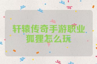 轩辕传奇手游职业狐狸怎么玩