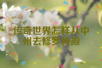 传奇世界怎样从中州去修罗神殿