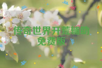 传奇世界开荒辅助免费版