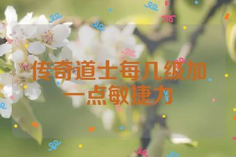 传奇道士每几级加一点敏捷力