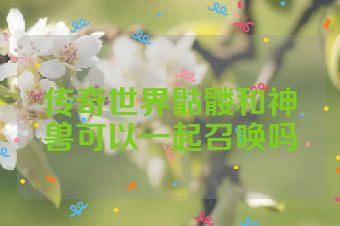传奇世界骷髅和神兽可以一起召唤吗
