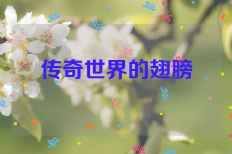 传奇世界的翅膀