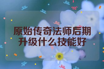 原始传奇法师后期升级什么技能好