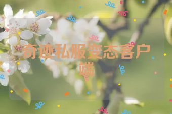 奇迹私服变态客户端