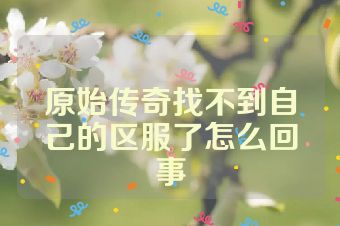 原始传奇找不到自己的区服了怎么回事