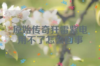 原始传奇狂雷紫电用不了怎么回事