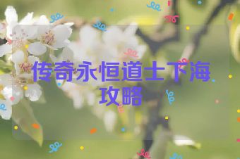 传奇永恒道士下海攻略