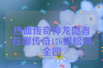 热血传奇神龙隐者在哪传奇176蜈蚣洞全图