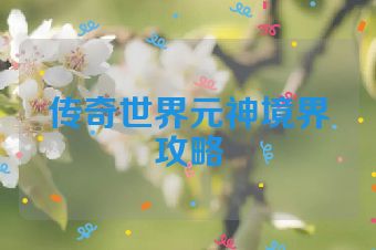 传奇世界元神境界攻略