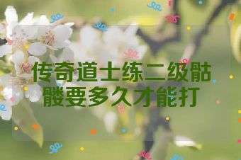 传奇道士练二级骷髅要多久才能打