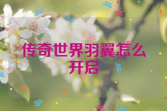 传奇世界羽翼怎么开启
