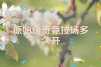 原始传奇竞技场多久开